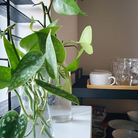 Bed And Breakfast 'Wij En De Zande' Kamperveen Εξωτερικό φωτογραφία