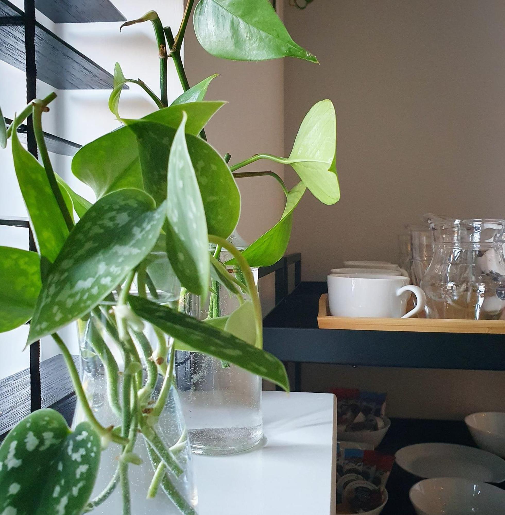 Bed And Breakfast 'Wij En De Zande' Kamperveen Εξωτερικό φωτογραφία